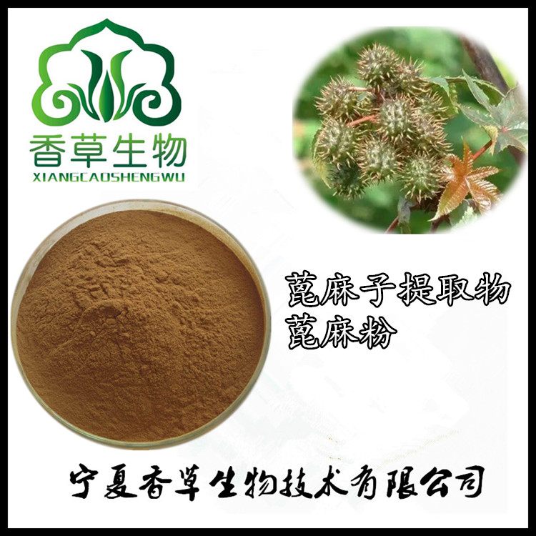 蓖麻子粉120目香草生物供应蓖麻提取物蓖麻提取液浸膏现做