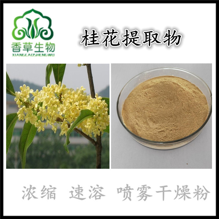 桂花粉桂花提取物浸膏粉桂花提取液价格