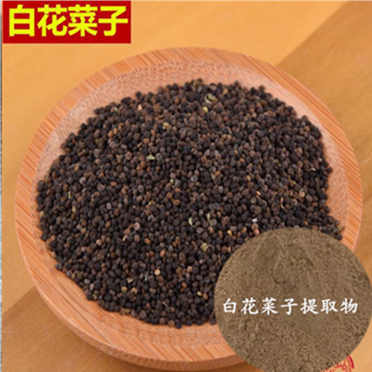 白花菜子提取物白花菜子粉 宁夏厂家白花菜籽提取物白花菜籽粉