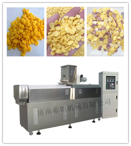 加工技术,由原料玉米粉生产玉米片,并在此工艺条件下添加一定量的高