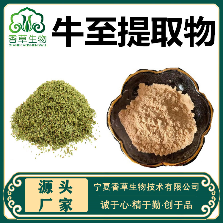 牛至提取物牛至叶粉200目牛至油粉牛至速溶粉