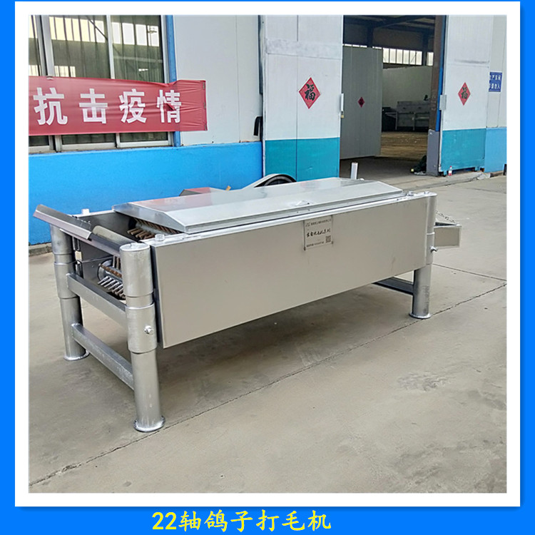 白条加工鸽子自动脱毛机