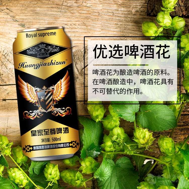 500ml铝罐啤酒易拉罐啤酒厂手提礼盒啤酒