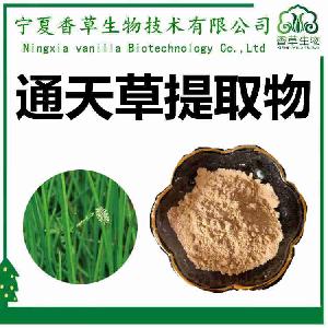 通天草提取物 10:1 通天草速溶粉 浓缩液 通天草粉 120目