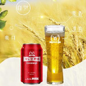 云南大理啤酒大理v6啤酒全系列瓶装易拉罐装箱装