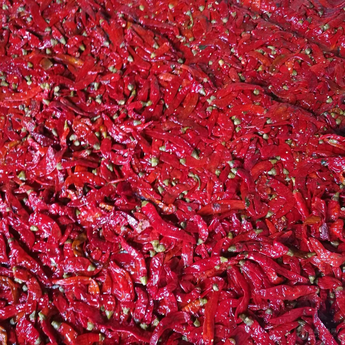 廠家大量通貨帶帽供應(yīng)鹽漬辣椒 腌制辣椒 腌漬辣椒