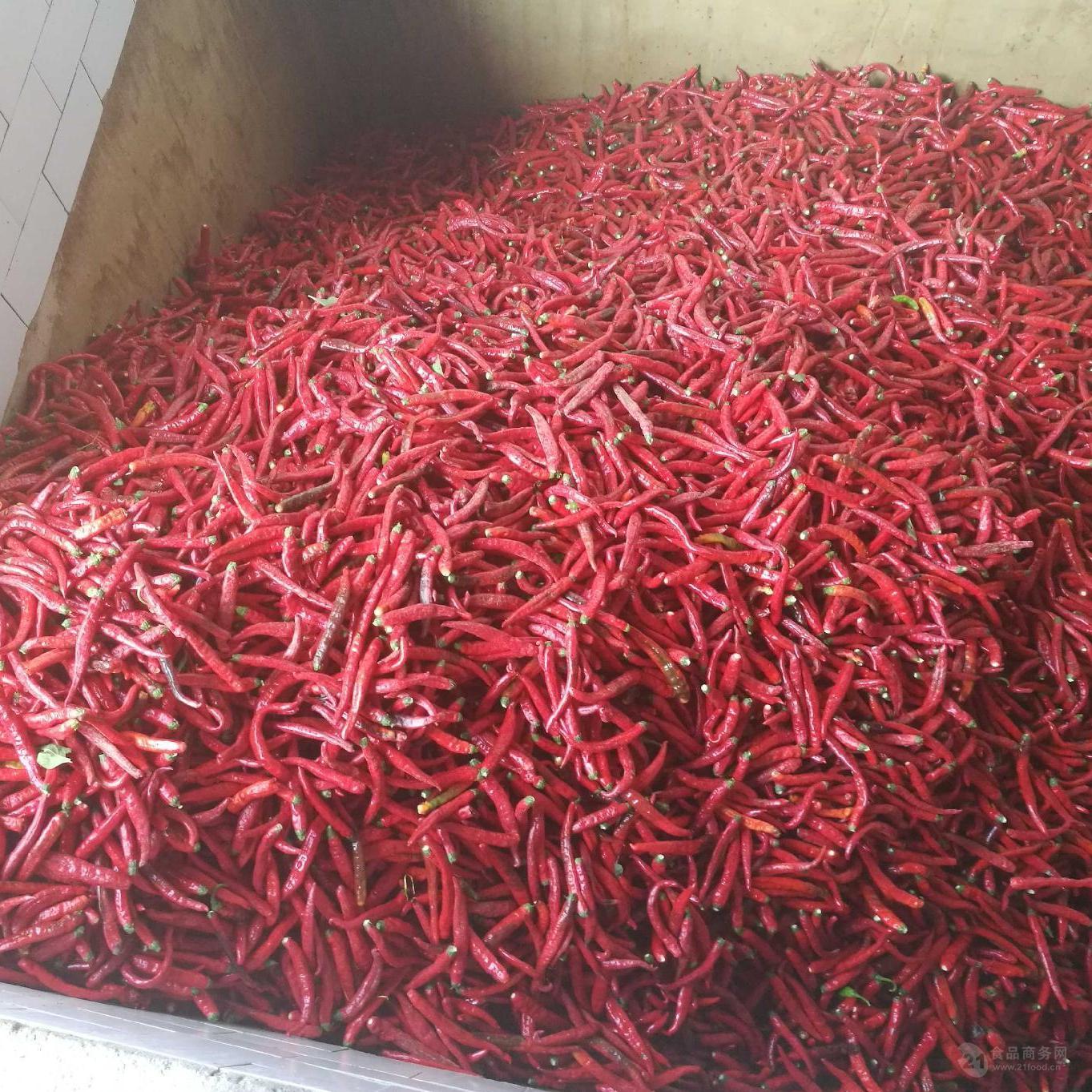 廠家大量通貨帶帽供應(yīng)鹽漬辣椒 腌制辣椒 腌漬辣椒