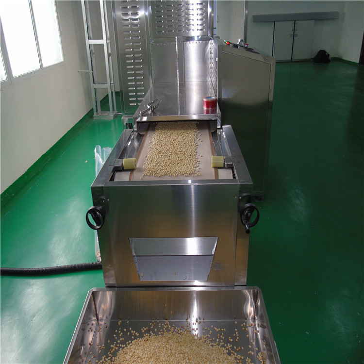 开心果杀菌熟化机新疆微波开心果杀虫设备商用大型