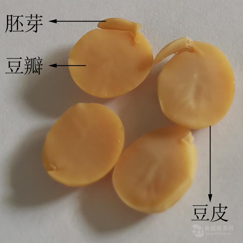 山西大豆去皮機(jī)黃豆脫皮磕瓣機(jī)時(shí)產(chǎn)500公斤