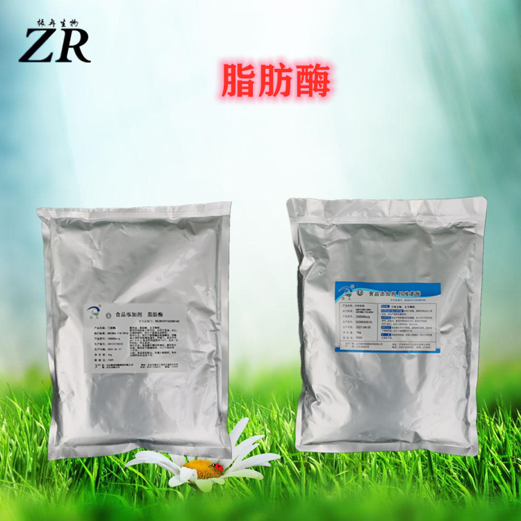 食品级 脂肪酶 脂肪分解酶 1kg起批量大从优 脂肪酶酶制剂