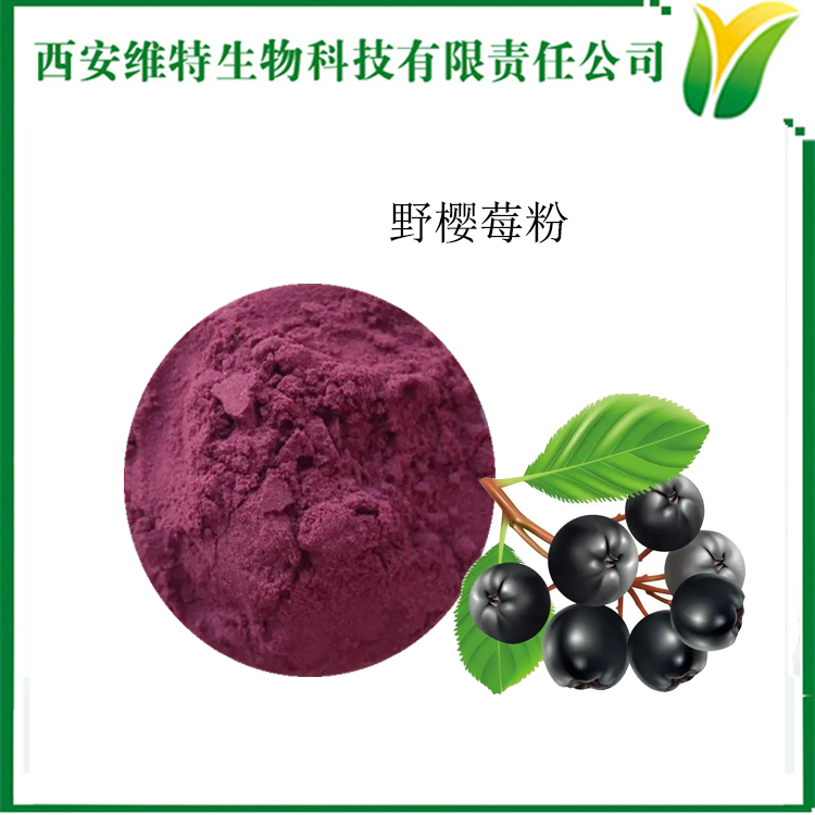 黑果花楸果粉 野樱莓粉 黑果腺肋花楸粉