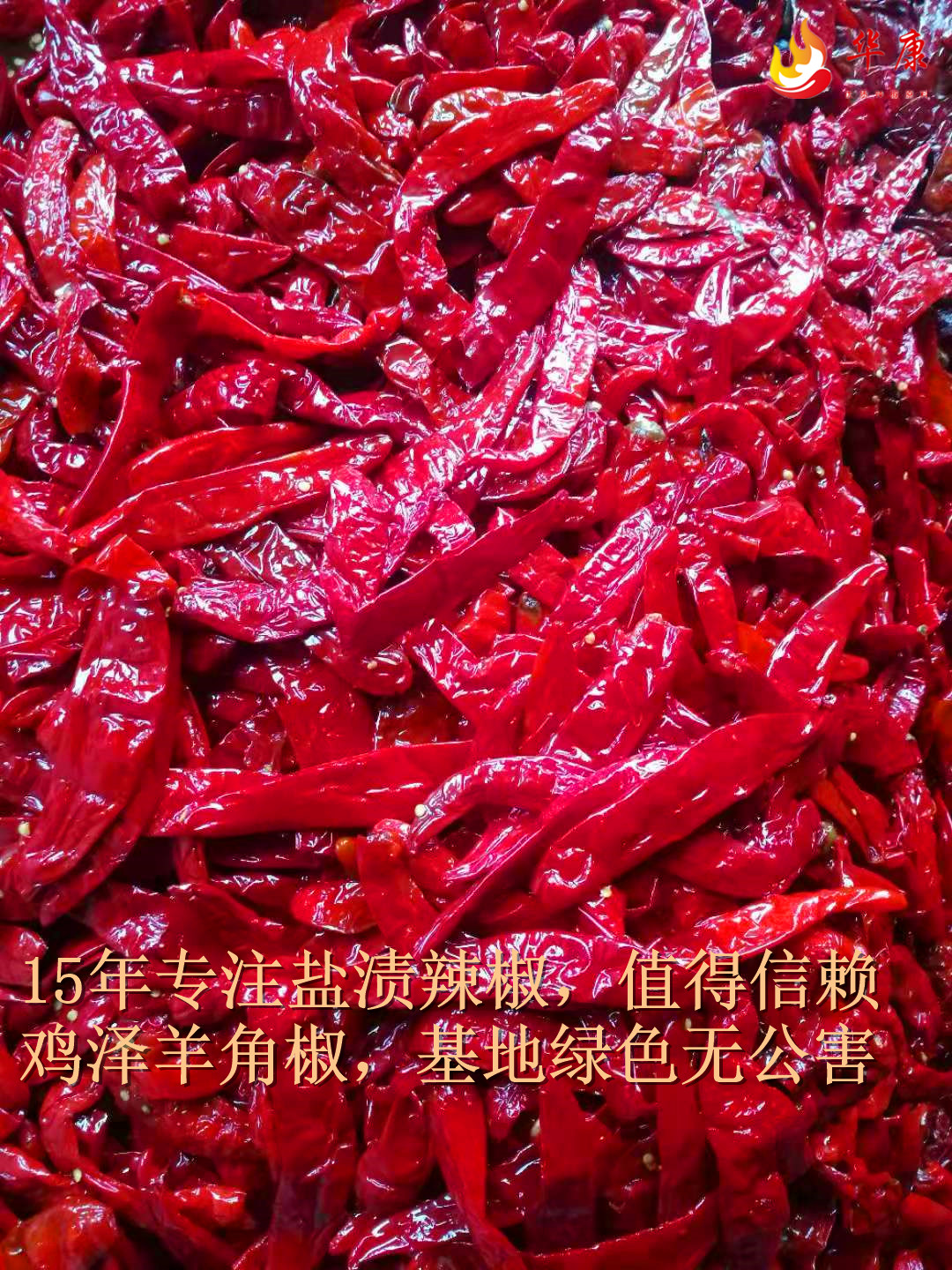 通貨無(wú)帽腌制辣椒鹽漬辣椒腌漬辣椒廠家大量