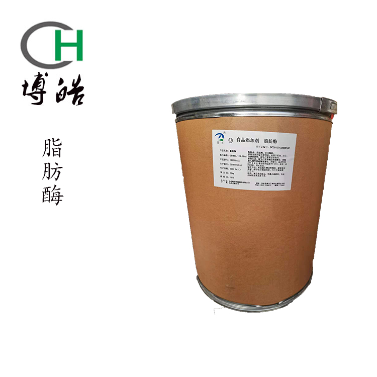 食品级脂肪酶用途