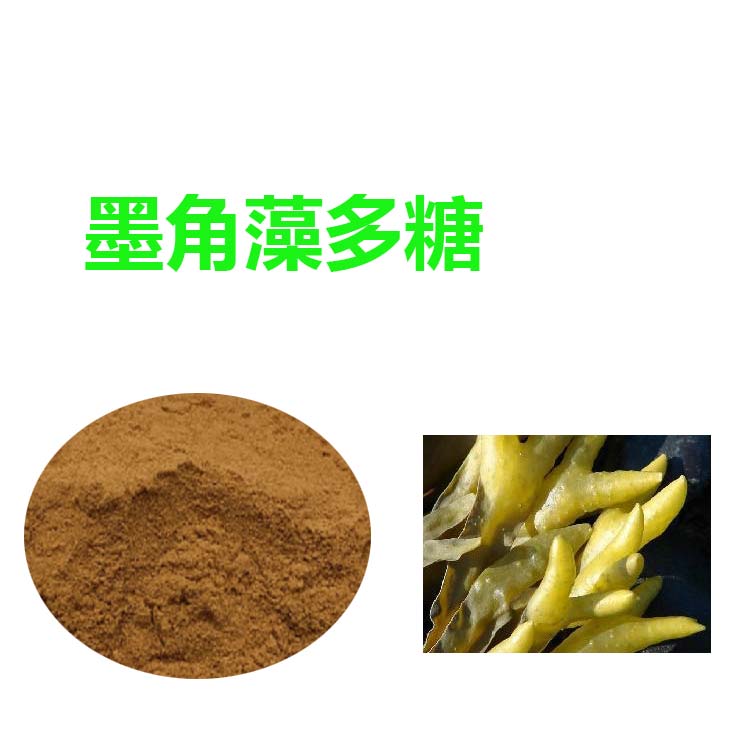 小麥提取物 量大從優(yōu) 小麥粉