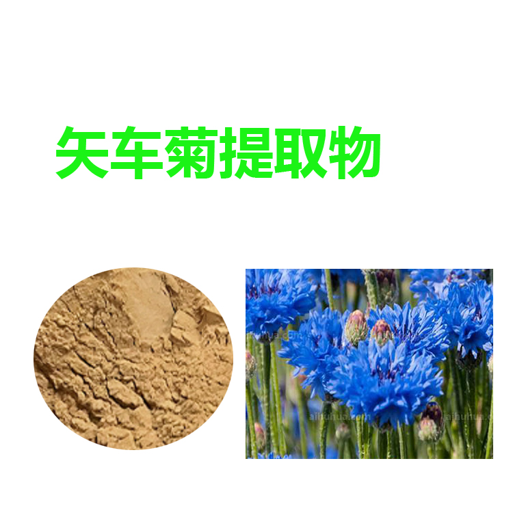 萵筍提取物 量大從優(yōu) 萵筍粉