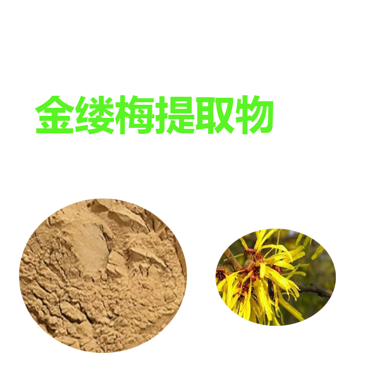 砂仁提取物 量大從優(yōu) 砂仁粉