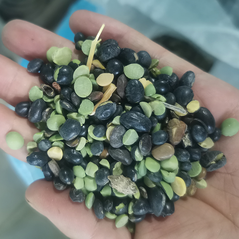 次豆脫皮機 篩下豆次品大豆脫皮拋光機