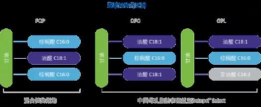 一週原料羅賽洛嘉利達推出膠原蛋白肽新品辣椒紅葉黃素等三項原料團體