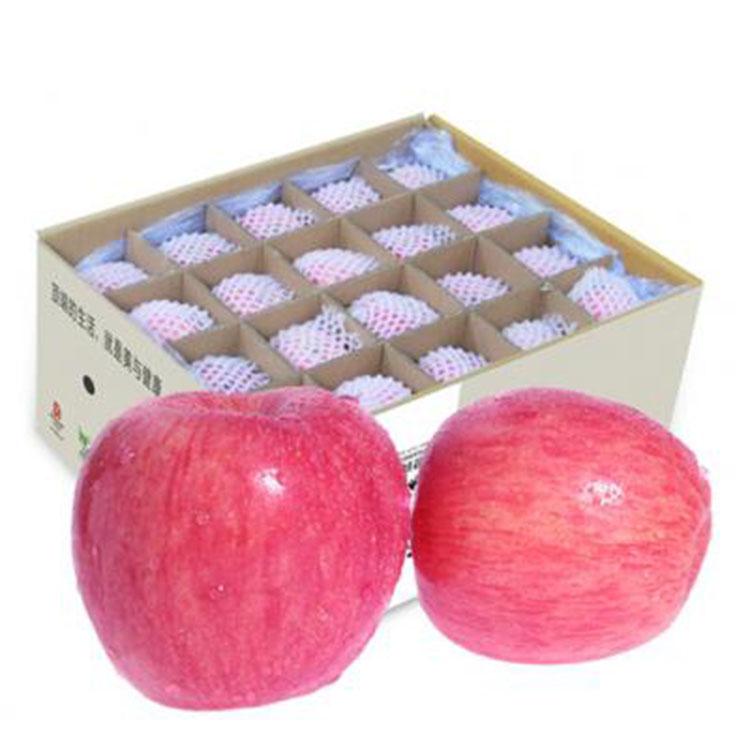 沂源紅富士 冷庫紅富士蘋果價格走勢