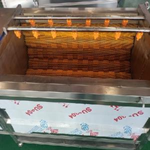 山东美康专业生产食品设备，毛辊清洗机，毛辊去皮清洗机厂家