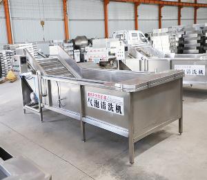 荷兰豆清洗机厂家