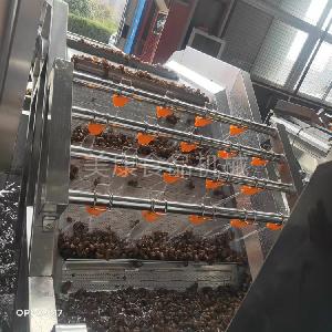 廠家定做金蟬殼不損傷清洗機 蟬蛻去泥土過濾清洗設備
