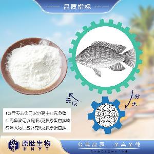 新鲜鱼鳞提取水解胶原蛋白肽粉 小分子纯肽粉无添加蛋白粉